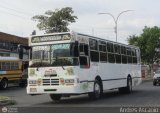 Transporte El Esfuerzo 17, por Andrs Ascanio