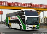 Expreso Internacional Palomino 8014