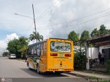 A.C. Indepasib 017 por Jes�s Valero