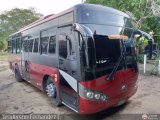 A.C. Transporte Paez 010, por Yenderson Fernndez C.