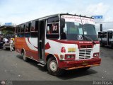 Lnea Altagracia 03 Autogago MidiGago Hino FD Turbo HO6CT