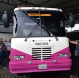 A.C. Transporte Paez 048