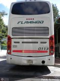 Expresos Flamingo 0113