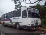 Transporte Bonanza 0029