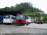 En Chiveras Abandonados Recuperacin JP-05
