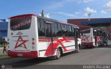 CA - Unin Conductores Big Low 23