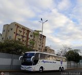 Unin Conductores Ayacucho 2061