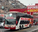 Transportes y Servicios Molibus (Per) 955