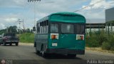 A.C. Barinas Elorza 95 Blue Bird Mini Bird Chevrolet P30 Americano