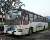 DC - Autobuses de El Manicomio C.A 50