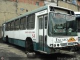 Excarguaica 054