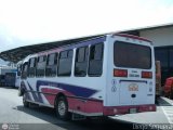 Transporte Virgen del Carmen 53, por Diego Sequera