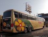 Transporte Flores Hermanos S.R.L (Per) 959