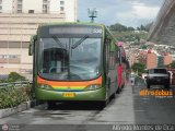 Metrobus Caracas 530