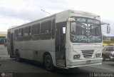 Colectivos La Rosita 006, por El Niobuses