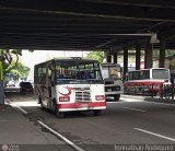DC - Unin Conductores de Antimano 777 Carroceras Sotelo y Ario Concord Chevrolet P31 Nacional