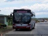 Bus Taguanes
