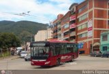 Trolmerida - Tromerca MER-996