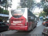 Bus CCS 1305, por Alfredo Montes de Oca