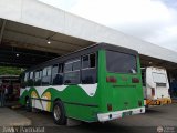Unin Conductores Santa Ins 05