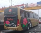Cetur S.R.L. 954 Comil Campione Invictus 1050 Volvo B380R