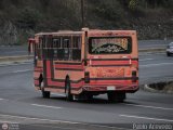 Colectivos Altagracia 06, por Pablo Acevedo