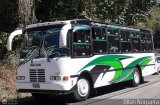 Transporte Privado Joaranny 207, por Dilan Noguera