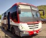 Expresos Camargi 0333