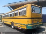 ZU - Colectivos Concepcin 062