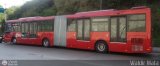 Bus CCS 0101, por Waldir Mata