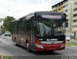 Trolmerida - Tromerca 33