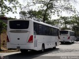 Garajes Paradas y Terminales Maiquetia