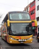 Expreso Internacional Palomino 766