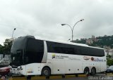 Expresos Occidente 446