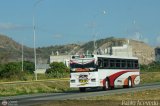 Particular o Transporte de Personal 261