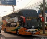 Expreso Interprovincial Dorado (Per) 530, por Leonardo Saturno