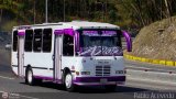 Coop. de Transp. Comunidad de Santa Luca 51