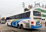 E.T. Maleo VIP (Per) 549