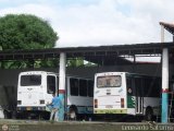 En Chiveras Abandonados Recuperacin 999, por Leonardo Saturno