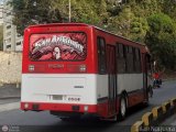 Transporte Privado Joaranny 202