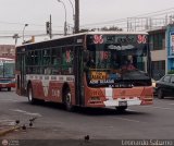E.T. 36 San Martn de Porres 794 Xiamen Golden Dragon XML6103  