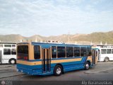 CA - Transporte Valca 90 C.A. 60, por Aly Baranauskas