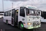 Transporte Virgen del Carmen 01, por Aly Baranauskas