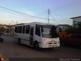 Transporte Clavellino 099