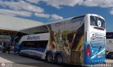 Diez Ases Express (Per) 269, por Henry belandria 