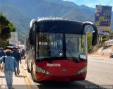 Trolmerida - Tromerca C13-991, por Andrs Figuera