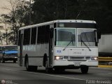 A.C. de Transporte Encarnacin 361