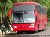 Sistema Integral de Transporte Superficial S.A 053