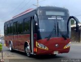Cooperativa de Transporte Falcn 08, por Angel Delgado