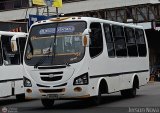 TA - Lnea Concordia 43